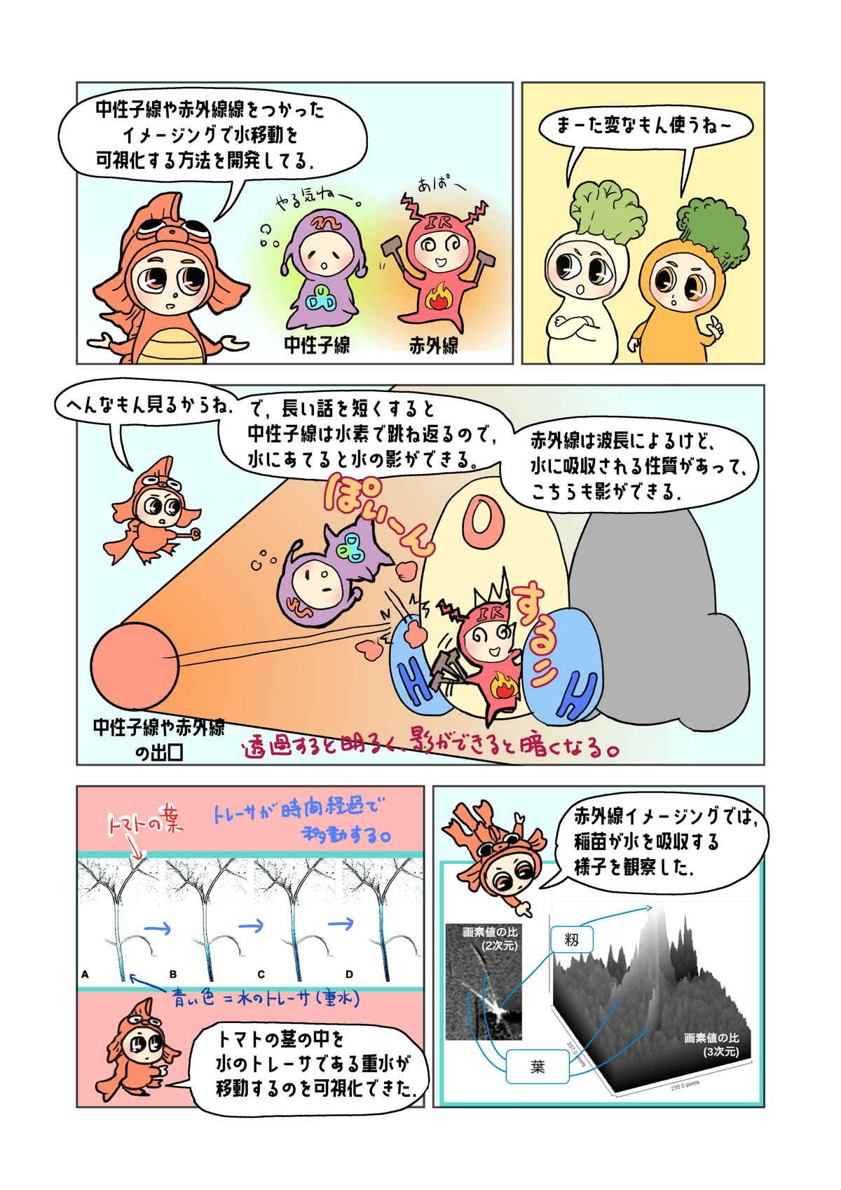 研究紹介 ページ4