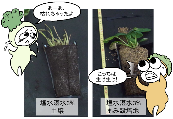 説明